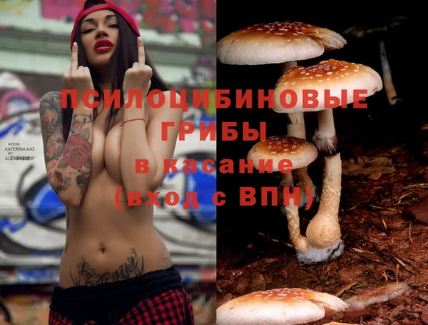 бутират Армянск
