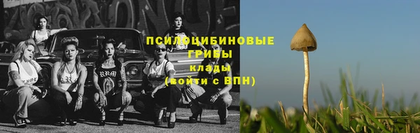 spice Арсеньев